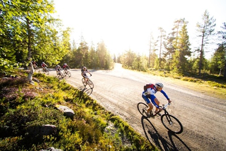 Birken Foto: Snorre Veggan birken birkebeinerrittet