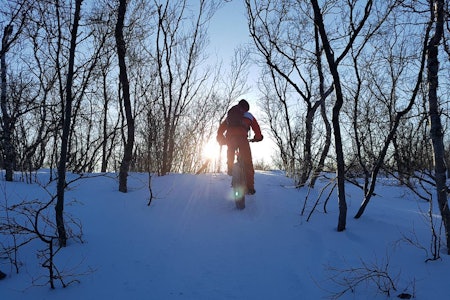 Lars Harald Blomkvist, som for tida ligger på tredjeplass i årets Stravakarusell, underveis i segmentet PCK Fatbike Ildskog. Foto: Stig R. Nilsen ritt strava kom qom segment app sykkel trening