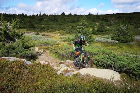ULTRABIRKEN-LØYPA: Slik blir løypa i årets Ultrabirken. Foto: Bjørn Ballangrud birken ultrabirken løype