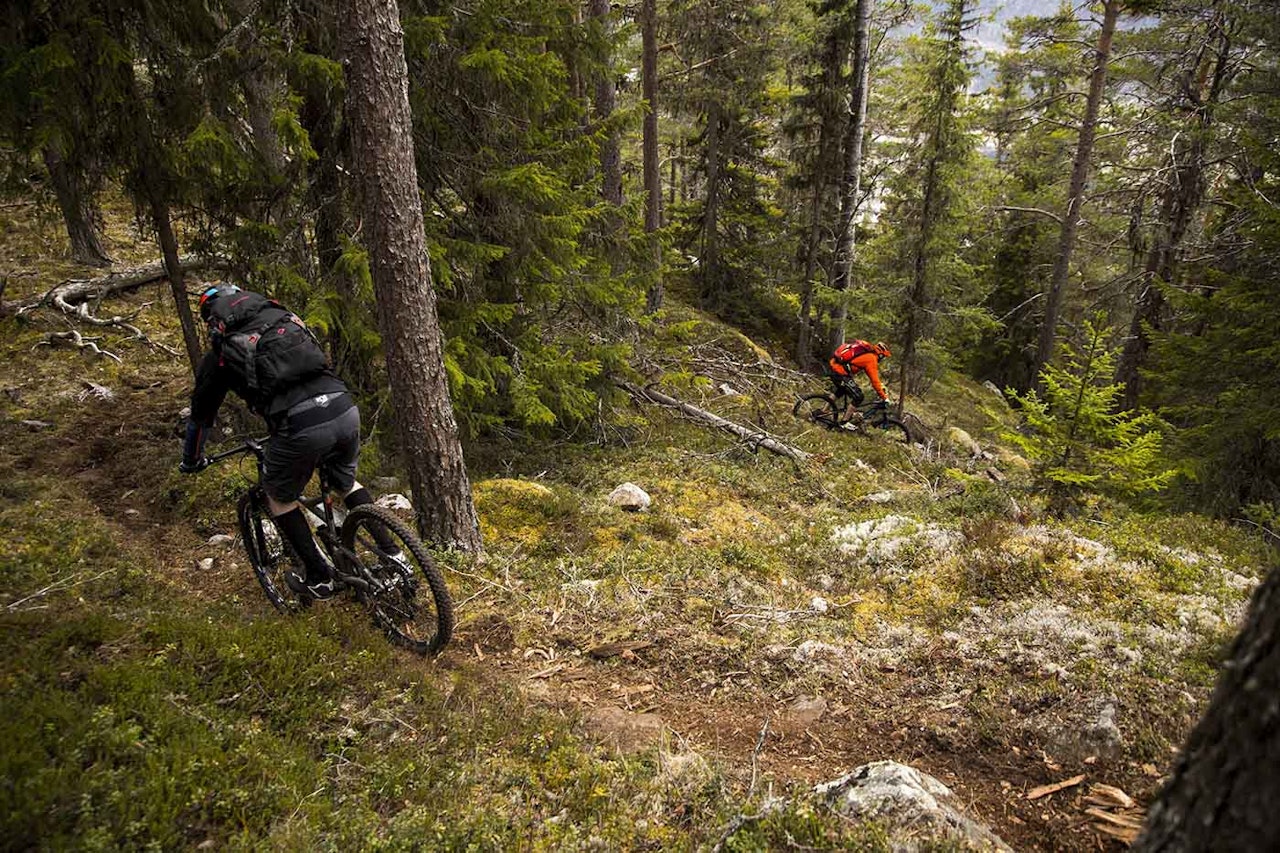 Nesbyen Trail Camp er et sikkert vårtegn og arrangeres i år for sjuende gang. Foto: Thomas B. Svendsen Nesbyen Trail Camp er et sikkert vårtegn og arrangeres i år for sjuende gang. Foto: Thomas B. Svendsen