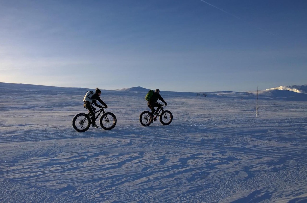150km på fatbike i høyfjellsterreng kan bli en heftig utfordring. Fat Viking Challenge på Geilo er kvalifiseringsritt for det 500km lange Iditarod Trail Invitational 2017. Foto: Nina Gässler