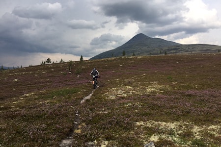 Elgpiggen er en av mange toppturer som er lett tilgjengelige fra Sølendalen. Foto: Emil Carlson