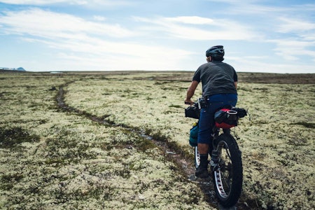 INGEN TVIL: Hedmark byr på turens lekreste stier. Joe Cruz sikter seg inn på Elgspiggen. bikepacking norge på langs