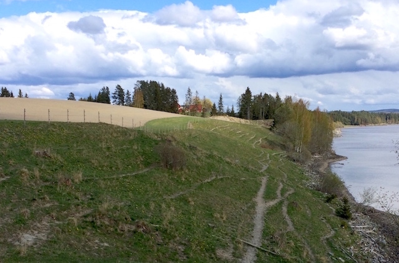 Det omstridte området ved Glomma: Innmark eller utmark? Foto: NOTS Det omstridte området ved Glomma: Innmark eller utmark? Foto: NOTS