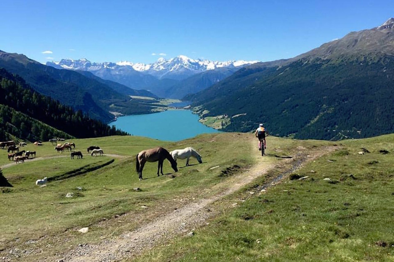 Været og utsikten var på rytternes side i årets utgave av TransAlp. Her fra etappe 2. Foto: Privat Været og utsikten var på rytternes side i årets utgave av TransAlp. Her fra etappe 2. Foto: Privat