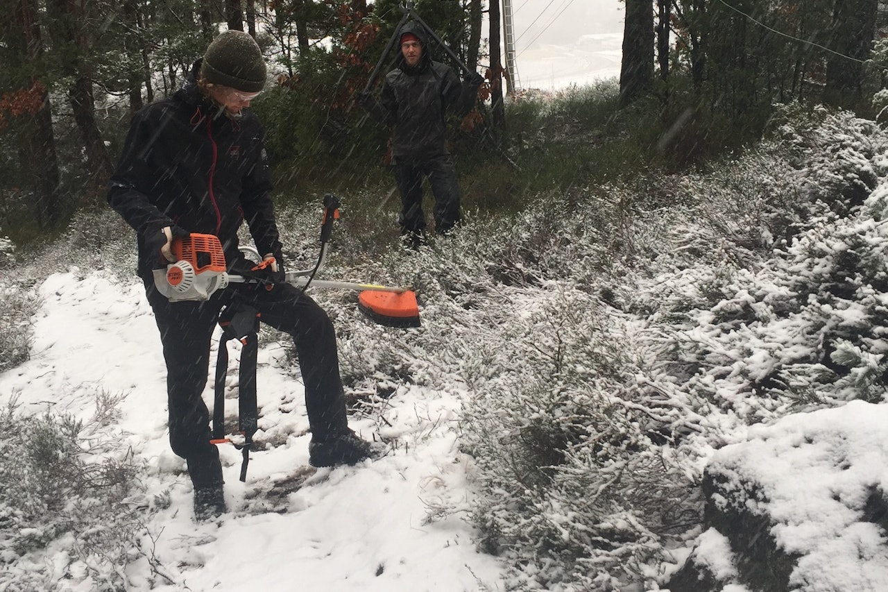 Gullstien blir navnet på en helt ny løype i Kristiansand Sykkelpark, og løypestikkingen er allerede i gang. Foto: Hilde Sangesland Strædet Gullstien blir navnet på en helt ny løype i Kristiansand Sykkelpark, og løypestikkingen er allerede i gang. Foto: Hilde Sangesland Strædet