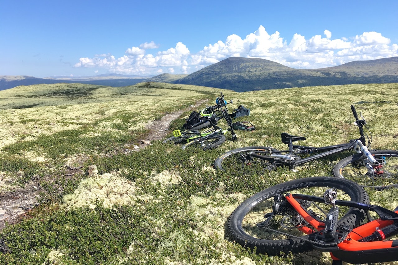 Det er utrolig hvor fort en glemmer hva det kostet å sykle opp hit. Foto: Ingeborg Scheve Det er utrolig hvor fort en glemmer hva det kostet å sykle opp hit. Foto: Ingeborg Scheve