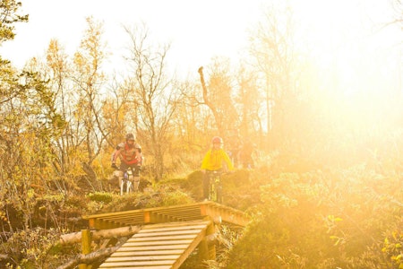Hummelfjell Bike Camp arrangeres for første gang 6.-7. august, og byr på både guidet stisykling og utfor med shuttle. Foto: Eirik Bækken Hummelfjell Bike Camp arrangeres for første gang 6.-7. august, og byr på både guidet stisykling og utfor med shuttle. Foto: Eirik Bækken