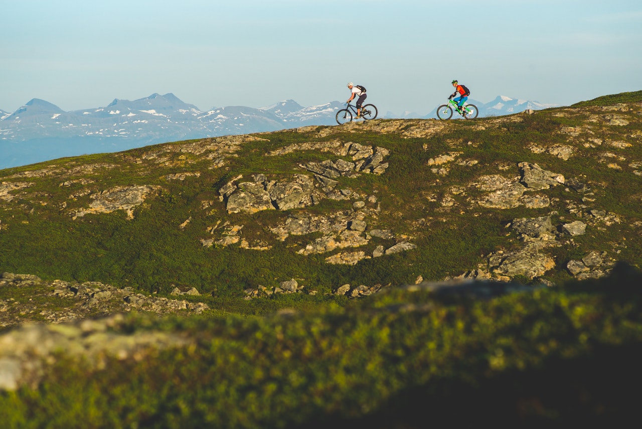Over tregrensen: På vei til toppen på Storhornet over Harstad. Foto: Sjur S. H. Melsås Over tregrensen: På vei til toppen på Storhornet over Harstad. Foto: Sjur S. H. Melsås