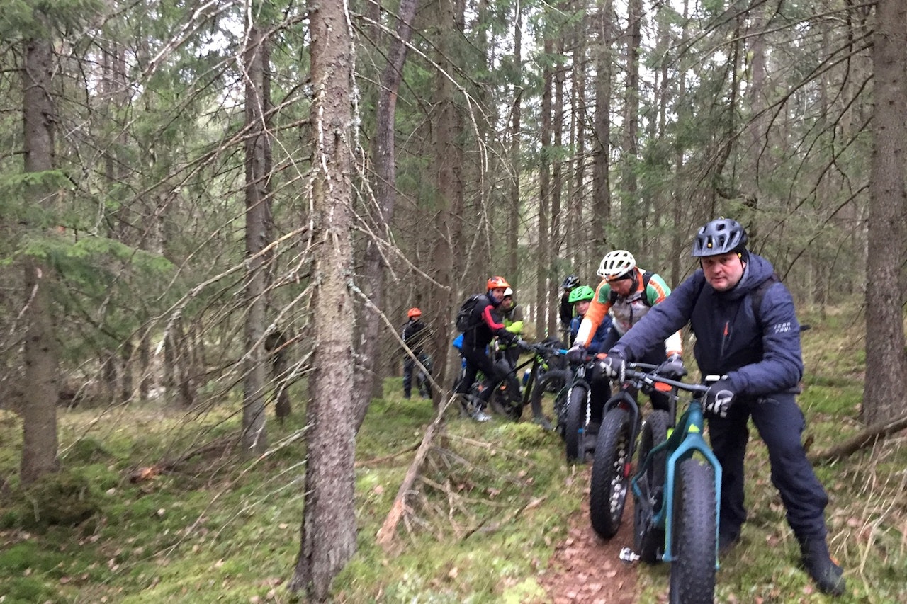 Skogene i Ski er hjemmebane for stisykkelklubben Siggerud og Sørmarka SK, som formelt er en undergruppe av Siggerud IL. Foto: Trond Dyrnes Skogene i Ski er hjemmebane for stisykkelklubben Siggerud og Sørmarka SK, som formelt er en undergruppe av Siggerud IL. Foto: Trond Dyrnes