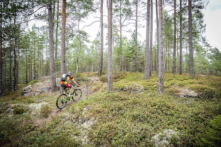 Grenserittet tvinges til å avlyse det to dager lange etapperittet på sti, som skulle vært arrangert 3. og 4. august. Foto: grenserittet