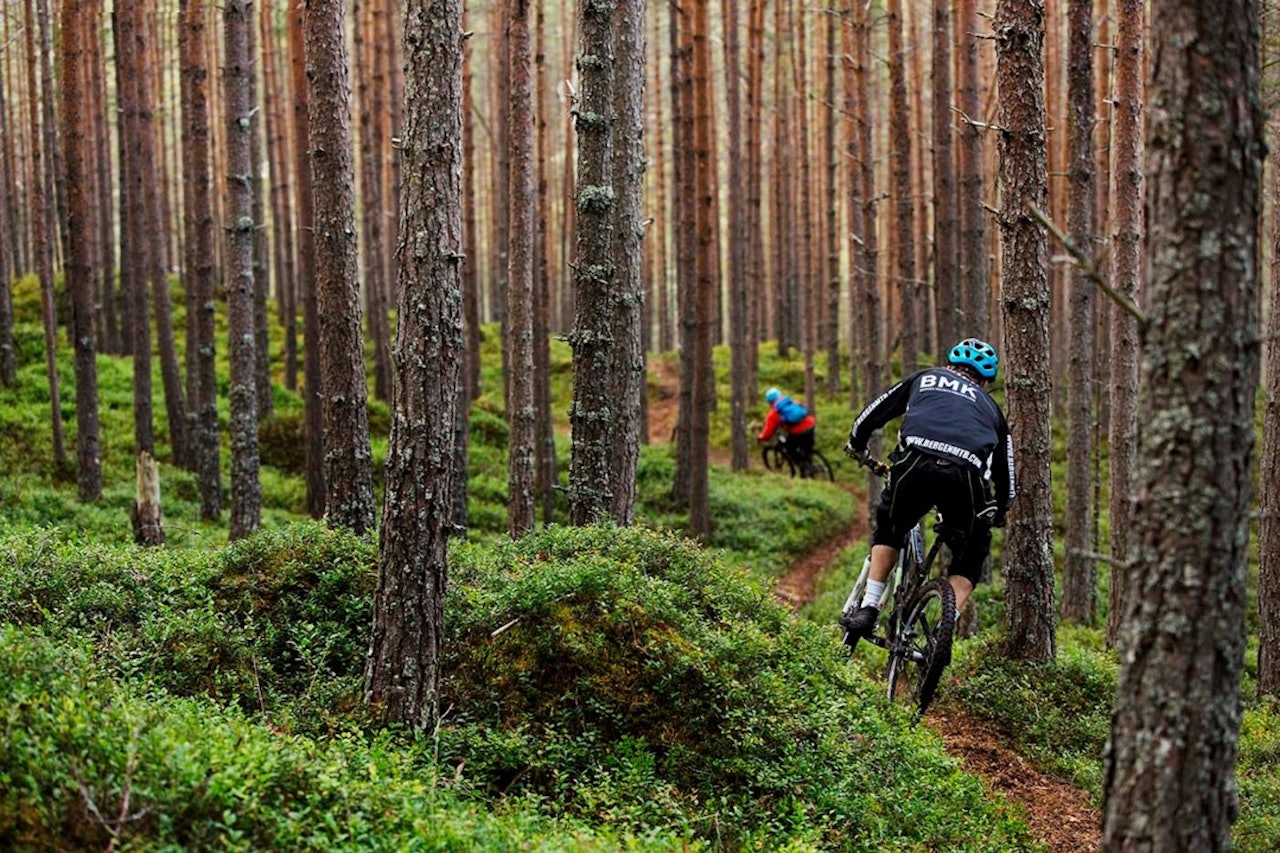 Vestlandsforsking vil finne ut av hvilke faktorer som påvirker hvor folk sykler. Foto: Kristoffer Kippernes Vestlandsforsking vil finne ut av hvilke faktorer som påvirker hvor folk sykler. Foto: Kristoffer Kippernes
