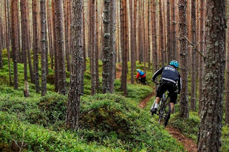 Vestlandsforsking vil finne ut av hvilke faktorer som påvirker hvor folk sykler. Foto: Kristoffer Kippernes