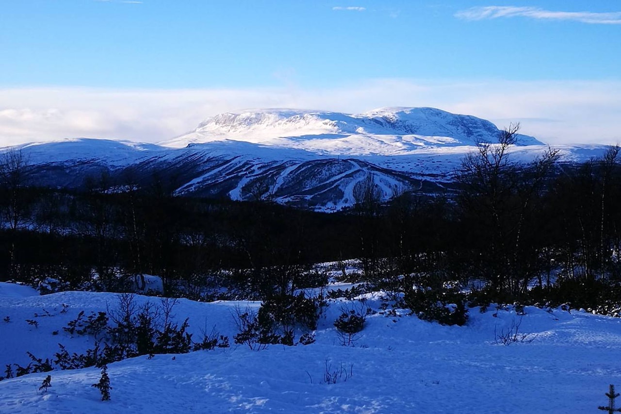 Utsikten mot Hallingskarvet var verdt slitet. Foto: Tore Haugen Utsikten mot Hallingskarvet var verdt slitet. Foto: Tore Haugen