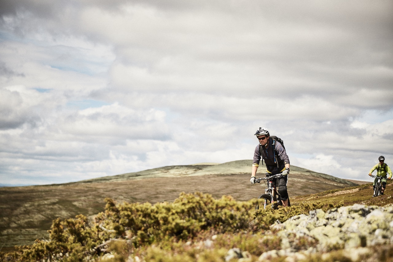 Foto: Torgeir Storflor Moen Foto: Torgeir Storflor Moen