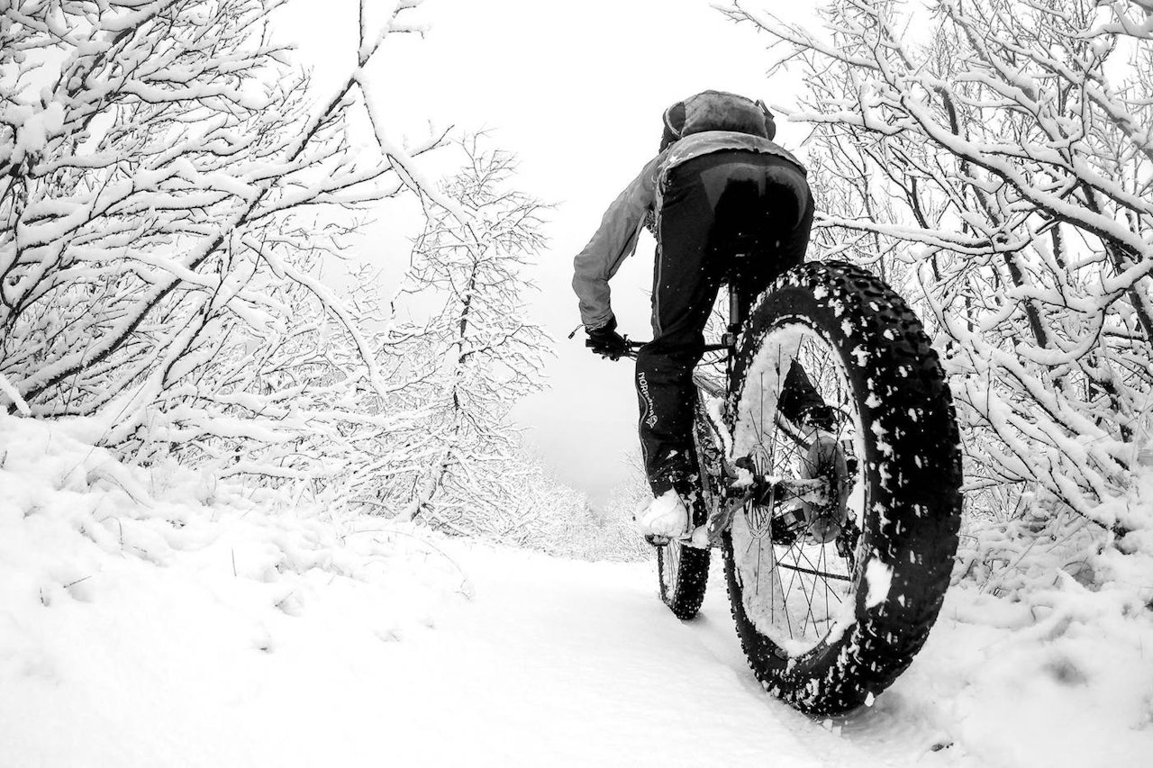 Nå er det tjukksykkelsesong igjen på Kvaløya. Foto: Pål Jokobsen Nå er det tjukksykkelsesong igjen på Kvaløya. Foto: Pål Jokobsen