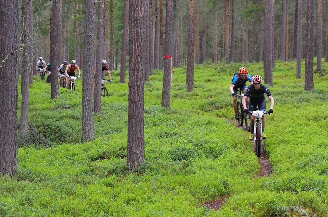 Etappe to av Trans-Østerdalen bød på lange partier med flytsti. Foto: Arrangøren Etappe to av Trans-Østerdalen bød på lange partier med flytsti. Foto: Arrangøren