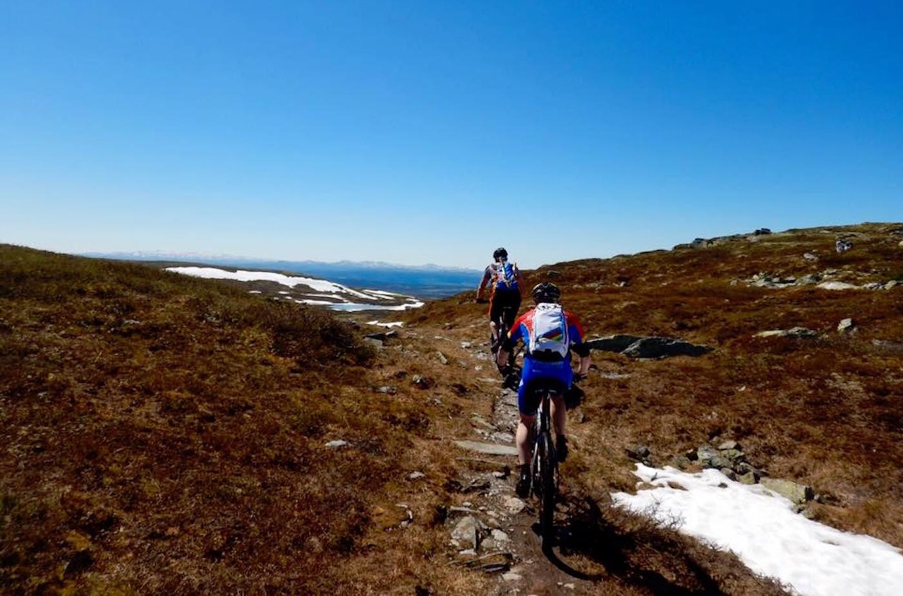 Løypa i Bukkerittet blir både lengre, tøffere og mer sti. Men forholdene er for tida upåklagelige. Foto: Bukkerittet Løypa i Bukkerittet blir både lengre, tøffere og mer sti. Men forholdene er for tida upåklagelige. Foto: Bukkerittet
