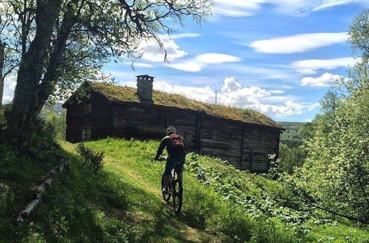 Mølmannsdalen er et mekka for stisyklister, og mye av løypa i Rørosrittet kjøres i det området. Foto: Frøydis Sjøvold Mølmannsdalen er et mekka for stisyklister, og mye av løypa i Rørosrittet kjøres i det området. Foto: Frøydis Sjøvold