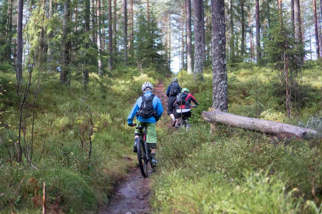 Drømmeforhold for stisykling i Lillomarka. Foto: Joline Johansson Drømmeforhold for stisykling i Lillomarka. Foto: Joline Johansson