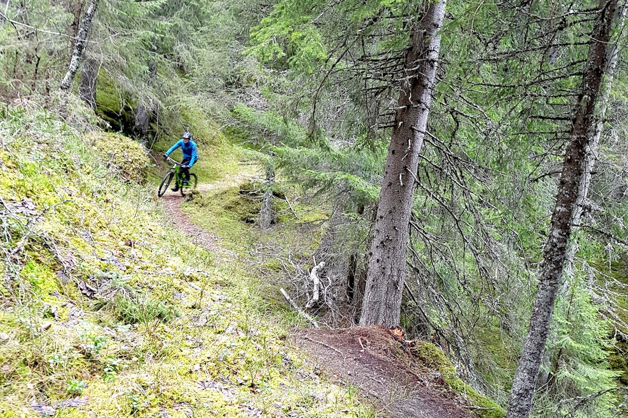 Strøkne stisykkelforhold i Bymarka: Slik ser St Olavsspranget ut midt på tjukkeste vinteren. Foto: Randi Damstuen Strøkne stisykkelforhold i Bymarka: Slik ser St Olavsspranget ut midt på tjukkeste vinteren. Foto: Randi Damstuen