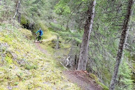 Strøkne stisykkelforhold i Bymarka: Slik ser St Olavsspranget ut midt på tjukkeste vinteren. Foto: Randi Damstuen Strøkne stisykkelforhold i Bymarka: Slik ser St Olavsspranget ut midt på tjukkeste vinteren. Foto: Randi Damstuen