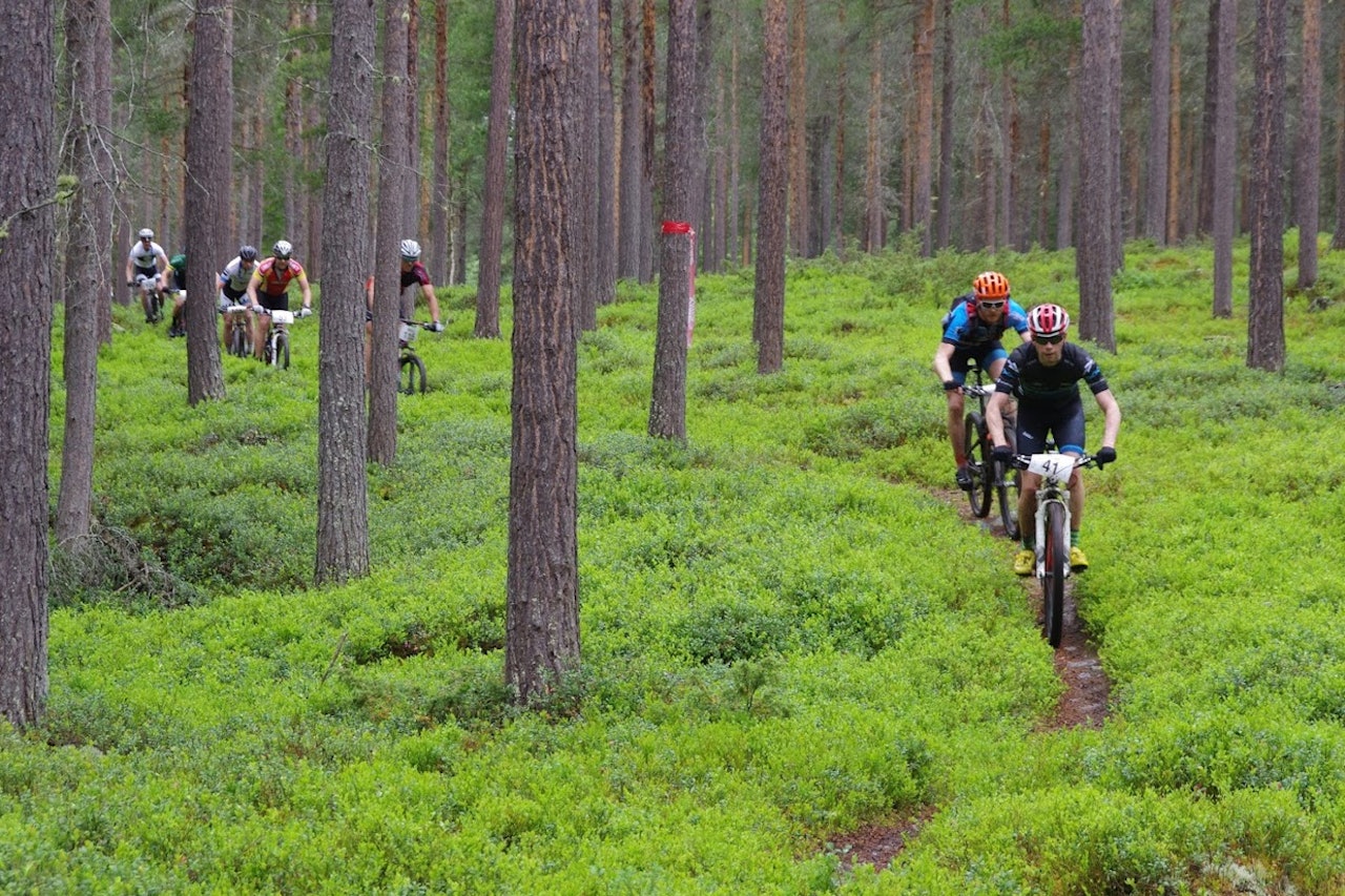 Trans-Østerdalen 3-dagers blir stadig mer populært. Aldri før har så mange meldt seg på første dagen påmeldinga åpnet. Foto: Per Inge Sagmoen