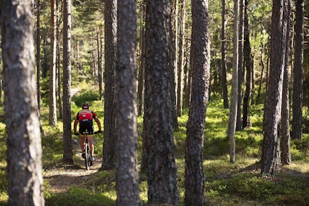 Traséen i det to dager lange Grenserittet Etappe er klar, og byr på mye flytsti i skogene på begge sider av svenskegrensa. Foto: Kristoffer Kippernes