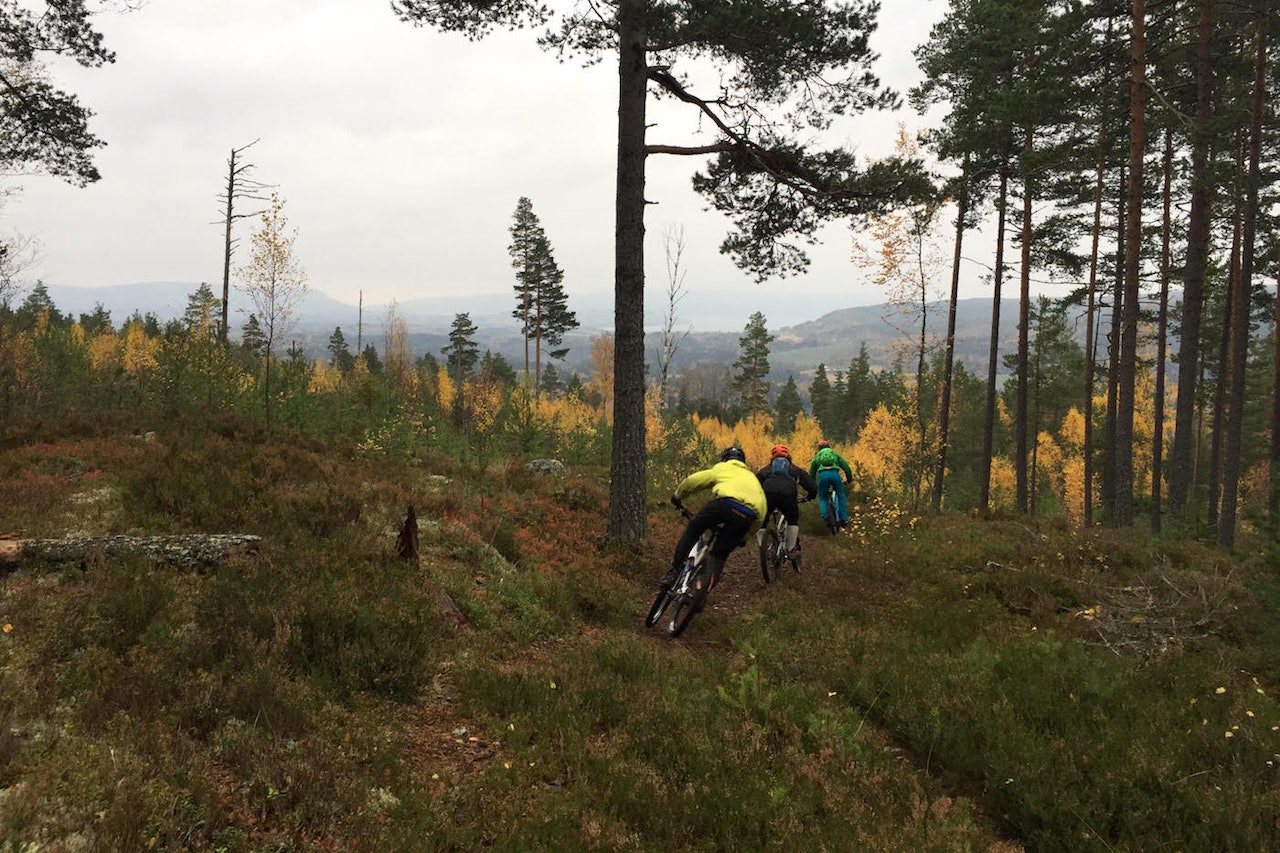 Ringerike Enduro på Krokskogen arrangeres for første gang 21.oktober, og blir siste ritt på terminlista 2017. Foto: Silje Gjerde