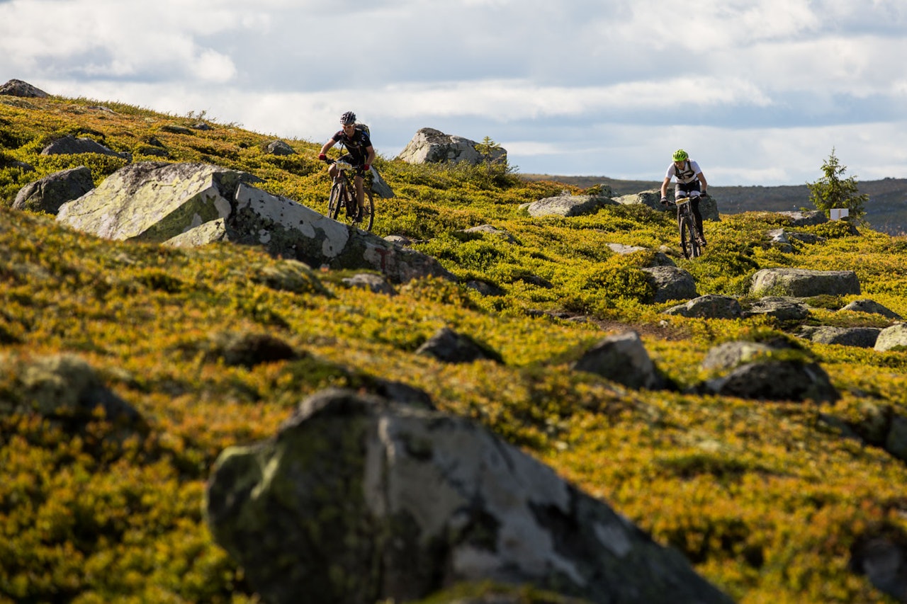 Bilder fra Ultrabirken birken ultrabirken birkebeinerrittet