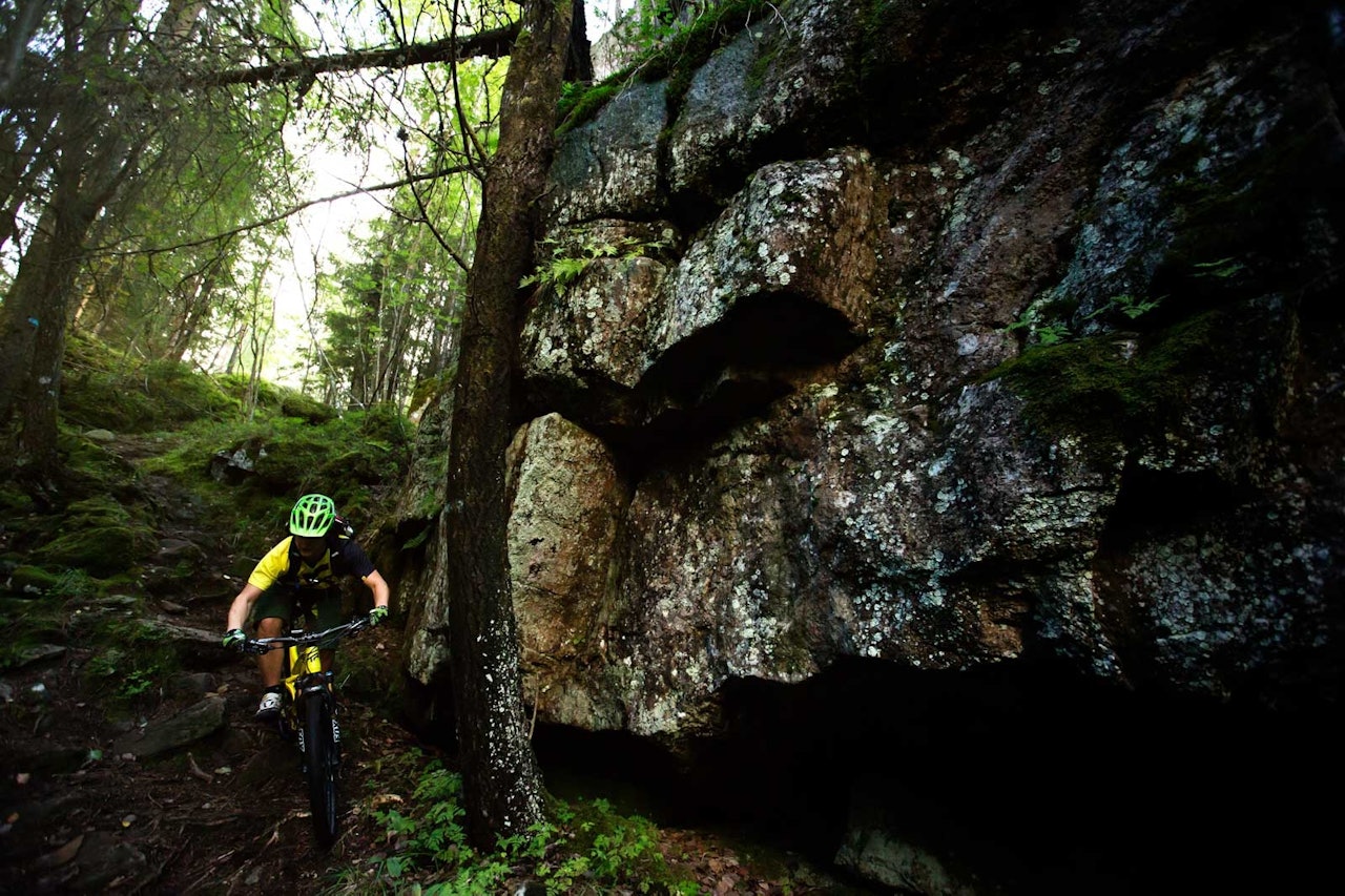 STISYKLING I OSLO: Anders Anker-Rasch tar seg ned en typisk Østmarka-sti fra et høydedrag på røtter og stein. stisykling i oslo, stisykling i østmarka