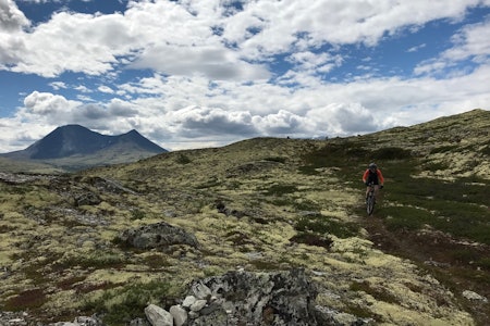 I dette terrenget i Nord-Østerdalen byr Audun Lutnæs i Urørt ski og sykkeleventyr på guidede stiturer. Foto: Audun Lutnæs  