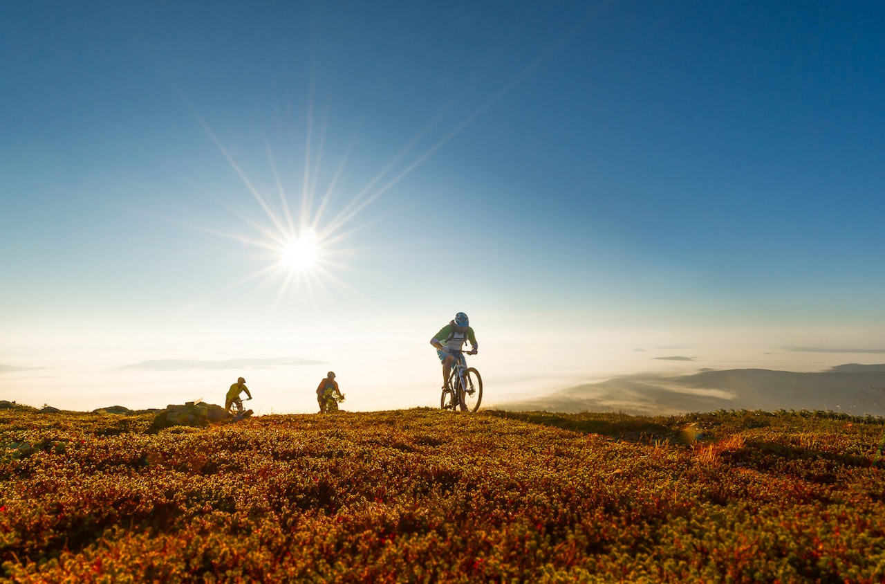 Trysil er en av flere norske destinasjoner som går systematisk inn for å utvikle terrengsykling som reiselivsprodukt. Foto: Ola Matsson/ Destinasjon Trysil Trysil er en av flere norske destinasjoner som går systematisk inn for å utvikle terrengsykling som reiselivsprodukt. Foto: Ola Matsson/ Destinasjon Trysil