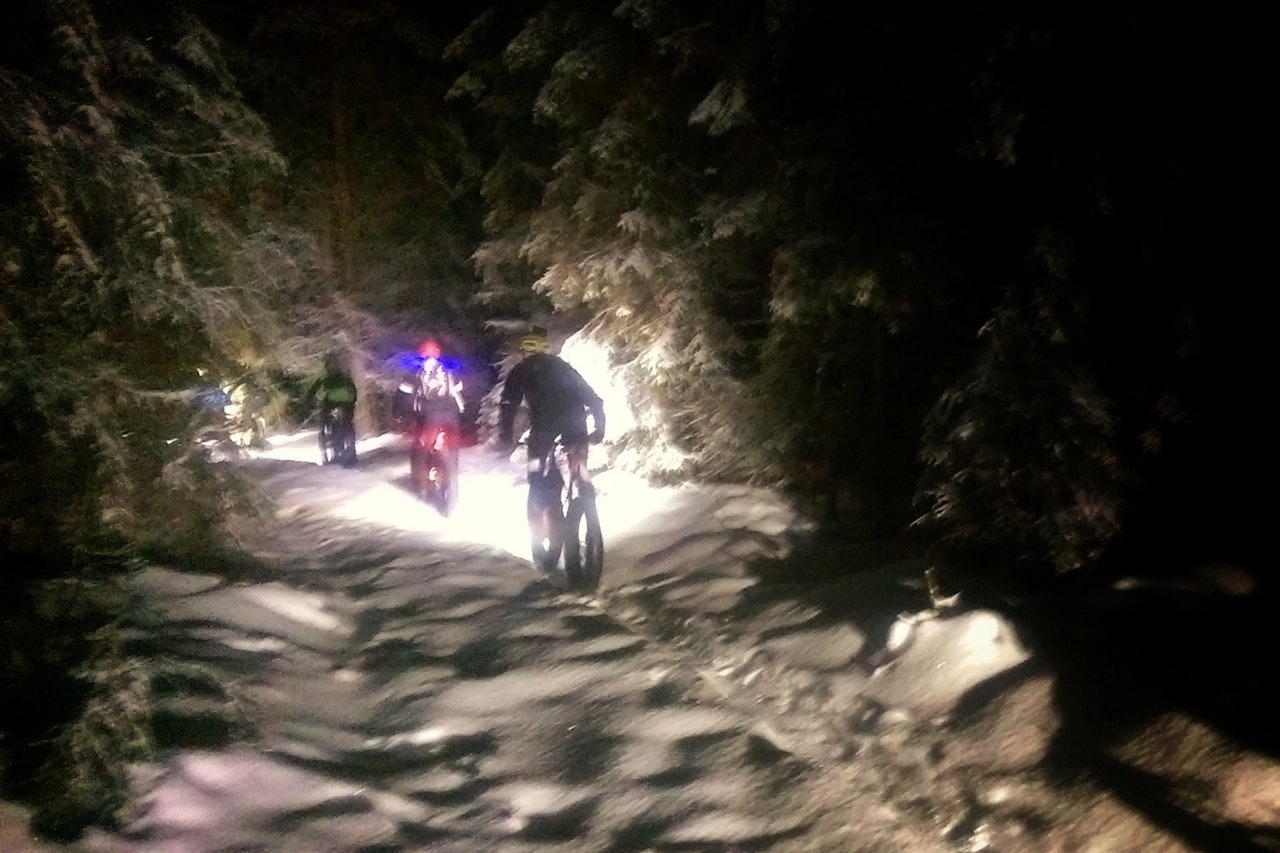 Stemningsfullt i skogen da NOTS Lillehammer arrangerte felles juletur fredag. Foto: Ingrid Hokstad