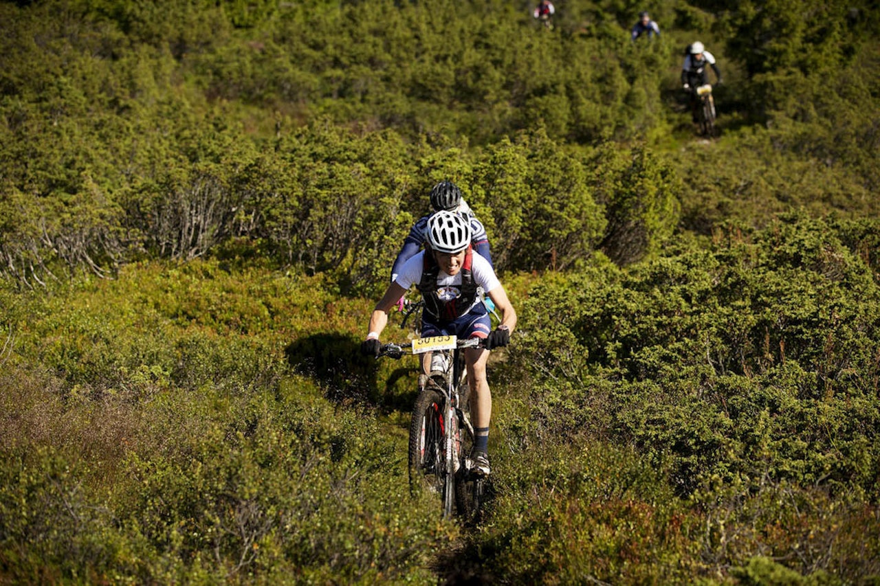Stier blir det flust av i UltraBirken i år. Helt ned til mål. Foto: Kristoffer Kippernes birken birkebeinerrittet