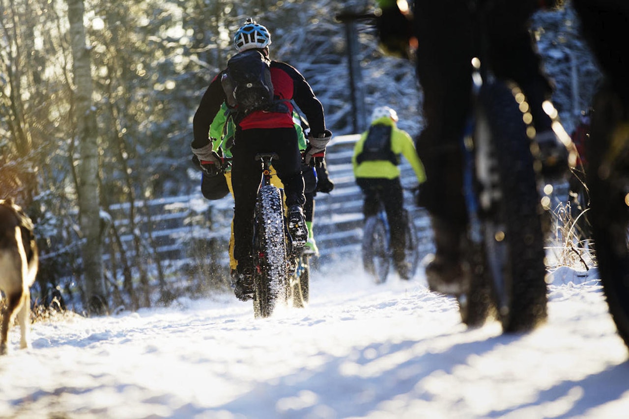 Global Fatbike Day arrangeres for femte gang førstkommende lørdag. Vi har oversikten over arrangementene her på Berget. Foto: Kristoffer Kippernes Global Fatbike Day arrangeres for femte gang førstkommende lørdag. Vi har oversikten over arrangementene her på Berget. Foto: Kristoffer Kippernes