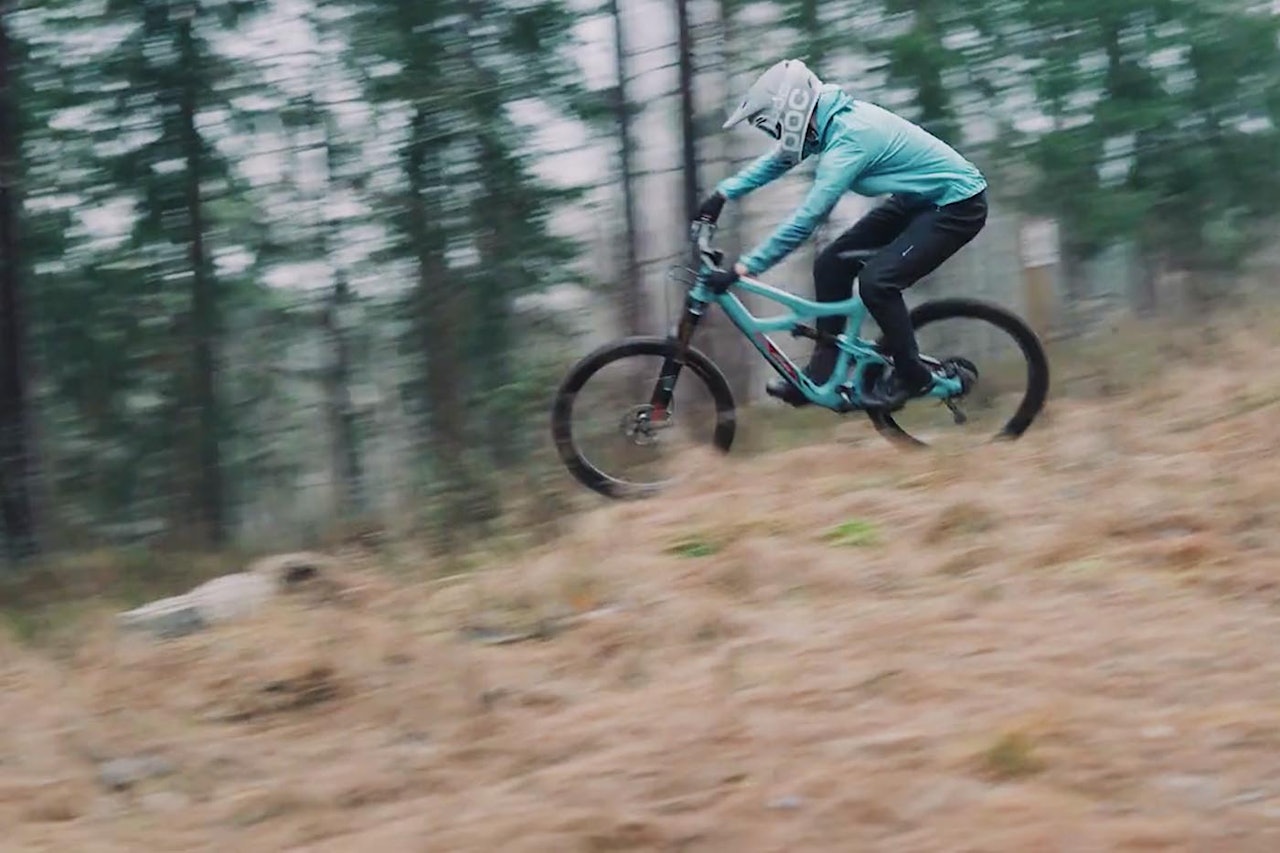 Foto: Niklas Wallner Foto: Niklas Wallner