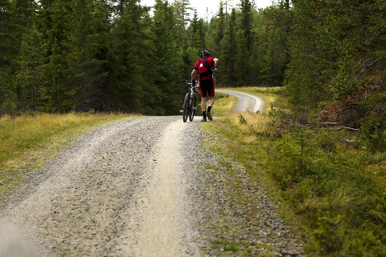 Birkebeinerrittet birken birkebeinerrittet