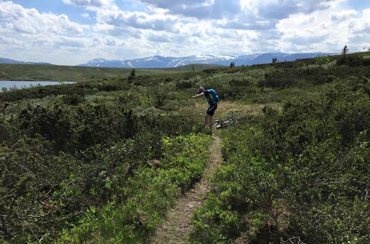 Valdresrittet har flere nye stipartier, og til helga blir det felles gjennomkjøring fra stadion klokka 13.00. Foto: Valdresrittet Valdresrittet har flere nye stipartier, og til helga blir det felles gjennomkjøring fra stadion klokka 13.00. Foto: Valdresrittet