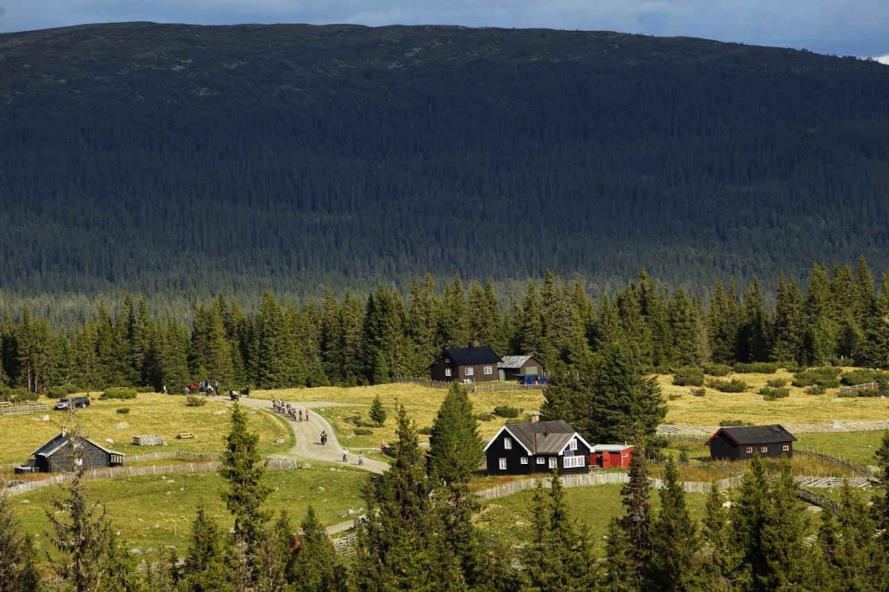 Løype i Birken birken ultrabirken birkebeinerrittet