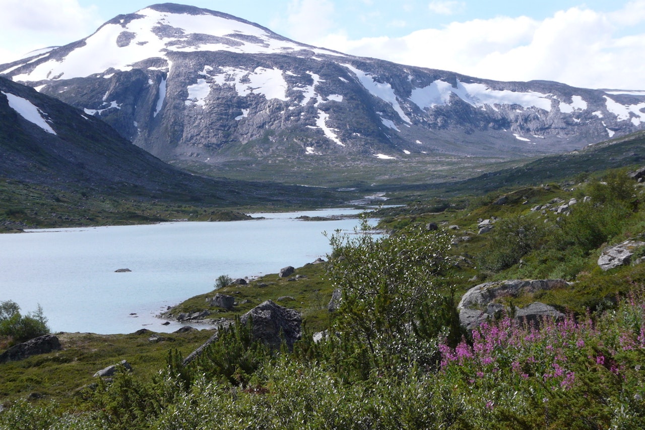 Stortinget vedtok Friluftsmeldingen som regjeringen la fram i mars, der det står at sykling på sti i nasjonalparker og verneområder som hovedregel skal være tillat. Foto: Wikimedia Stortinget vedtok Friluftsmeldingen som regjeringen la fram i mars, der det står at sykling på sti i nasjonalparker og verneområder som hovedregel skal være tillat. Foto: Wikimedia