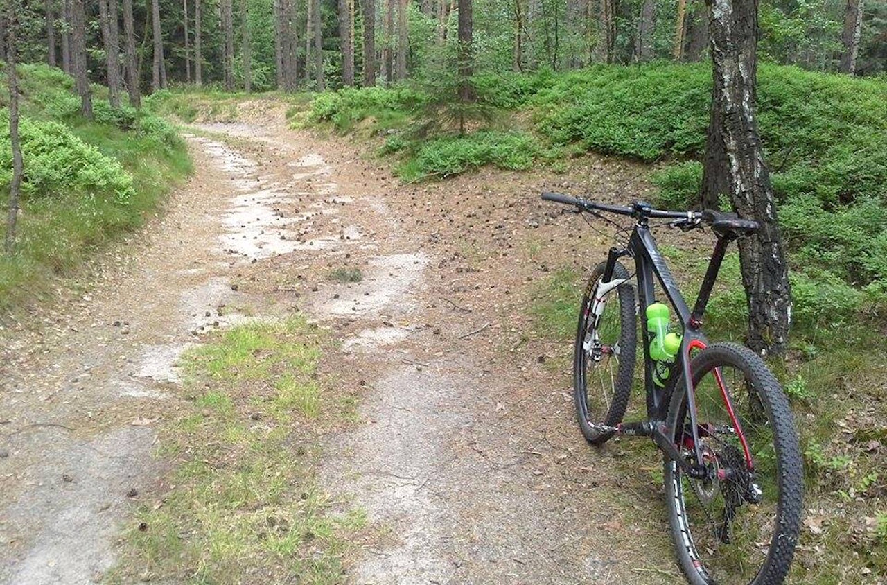 Verdenscupløypa i Tsjekkia ser fredelig ut, men den blir tøff likevel og særlig på slutten, sier Lars Granberg. Foto: Privat Verdenscupløypa i Tsjekkia ser fredelig ut, men den blir tøff likevel og særlig på slutten, sier Lars Granberg. Foto: Privat