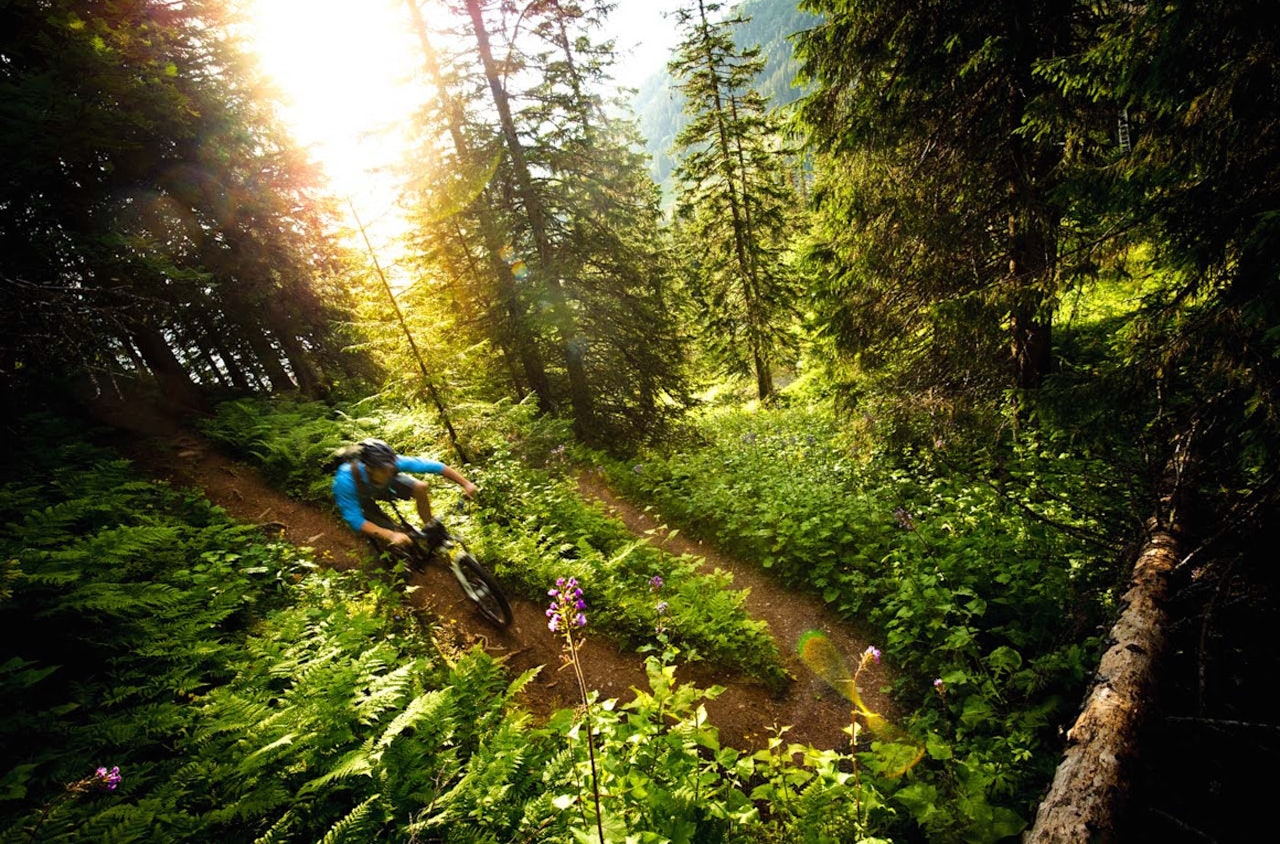 ÅRETUREN lover mye sti og flott natur. Rittet kjøres for første gang 11.juli. Foto: Simon Sjören ÅRETUREN lover mye sti og flott natur. Rittet kjøres for første gang 11.juli. Foto: Simon Sjören