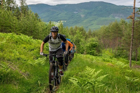 Det er fortsatt håp om at lokale syklister skal kunne nyte stiene på Kaupanger selv om deler av området skulle bli vernet. Foto: Bård Basberg Det er fortsatt håp om at lokale syklister skal kunne nyte stiene på Kaupanger selv om deler av området skulle bli vernet. Foto: Bård Basberg
