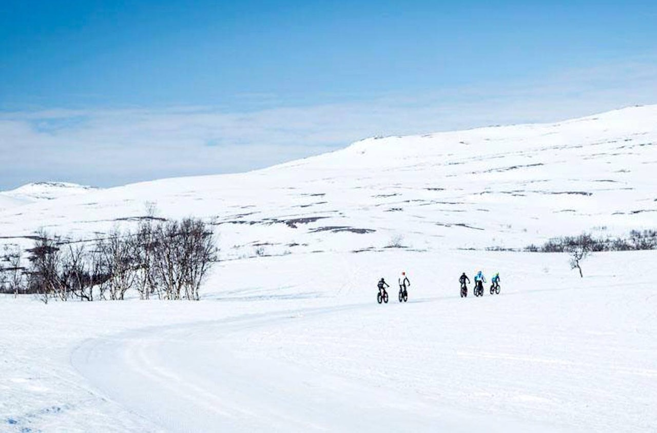 SKAIDI Fatbike 2016 ble et eventyr. Foto: Zbigniew Wantuch/ Reklamehuset nord SKAIDI Fatbike 2016 ble et eventyr. Foto: Zbigniew Wantuch/ Reklamehuset nord