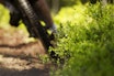 BILDER FRA TRAKTOR ENDURO: Traktor Enduro 2015 ble et spennende ritt, her får du bildene. Foto: Kristoffer H. Kippernes bilder traktor enduro 2015