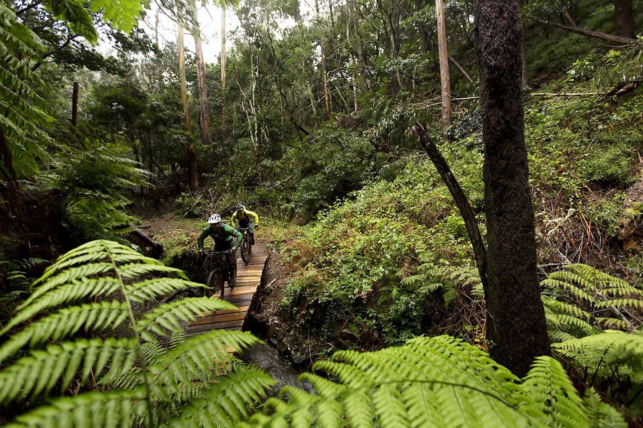 Madeira har mye bratt terreng og spennende stier, men svært få av stiene er dimensjonert og bygget for den sykkeltrafikken øya nå opplever, sier Ricardo Pinto, som jobber med bærekraft og stiutvikling på Madeira. Foto: Kristoffer Kippernes Madeira har mye bratt terreng og spennende stier, men svært få av stiene er dimensjonert og bygget for den sykkeltrafikken øya nå opplever, sier Ricardo Pinto, som jobber med bærekraft og stiutvikling på Madeira. Foto: Kristoffer Kippernes