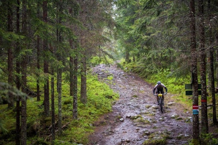 Terrengsykkelrittet 2015 ble en gjørmete affære. Nå tar man grep for å rydde opp etter slitasjen på marka. Foto: Snorre Veggan Terrengsykkelrittet 2015 ble en gjørmete affære. Nå tar man grep for å rydde opp etter slitasjen på marka. Foto: Snorre Veggan