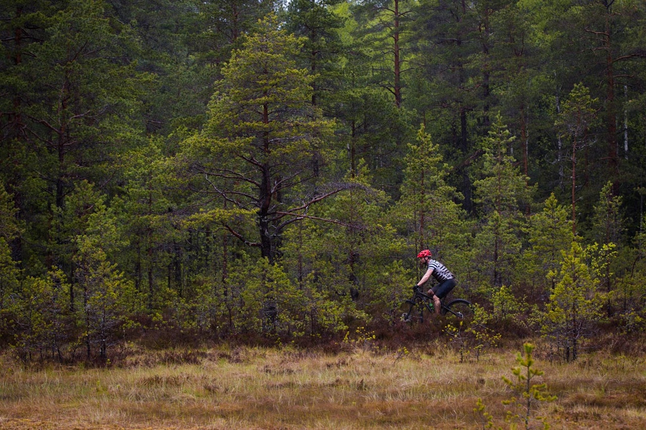 BILDER FRA TERRENGSYKKELRITTET: Her kan du se bildereportasjen vår fra Terrengsykkelrittet. Foto: Kristoffer H. Kippernes terrengsykkelrittet 2015 bilder