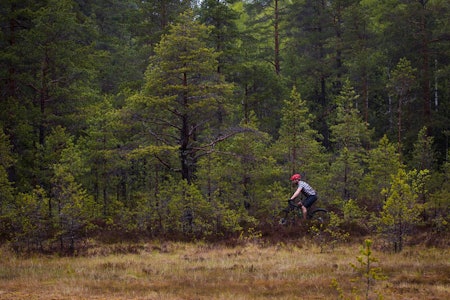 BILDER FRA TERRENGSYKKELRITTET: Her kan du se bildereportasjen vår fra Terrengsykkelrittet. Foto: Kristoffer H. Kippernes terrengsykkelrittet 2015 bilder